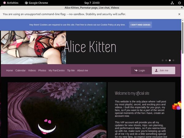 Alice Kitten Paypal Access