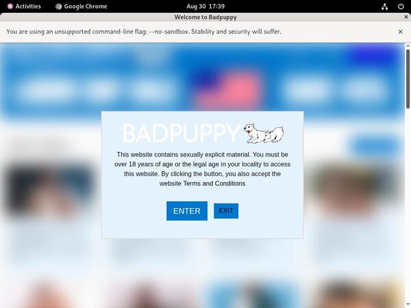 Badpuppy.com Password Login