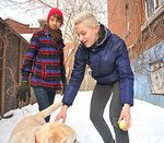 Beddable Boys Renew Beddable Boys Renew