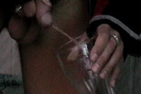 Boys Pissing With ECheck s0