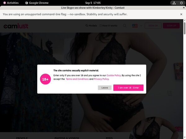 Camlust.com Account And Passwords
