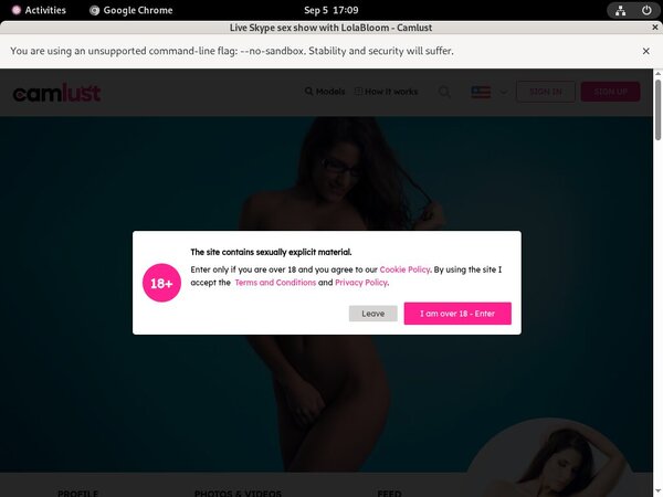 Camlust.com Free Pron