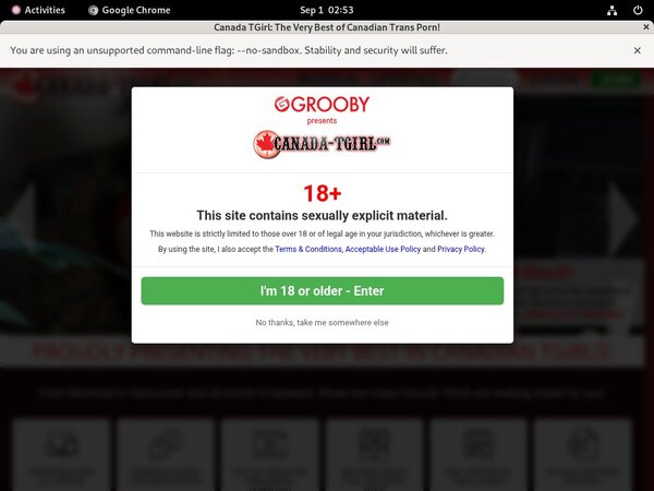 Canadatgirl Free Account Passwords