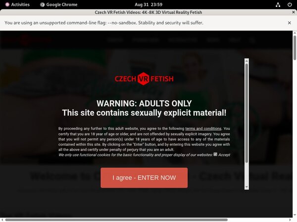 Czechvrfetish Password And Login