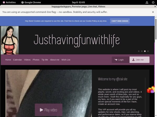 Discount Happygoluckypyro Offer