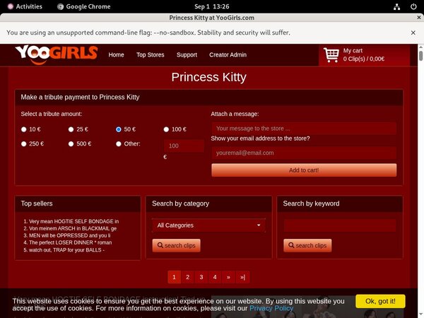 Discount On PrincessKitty