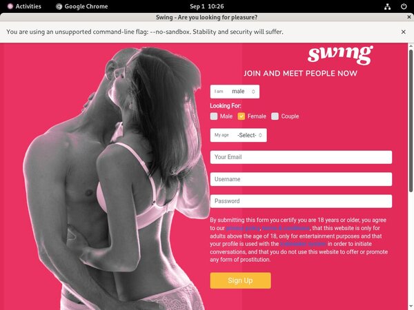 Discount Url Swing.net