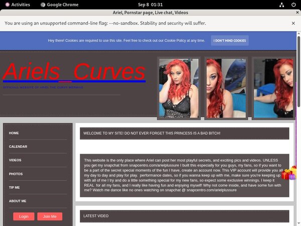 Free Ariel Logins Free Ariel Logins