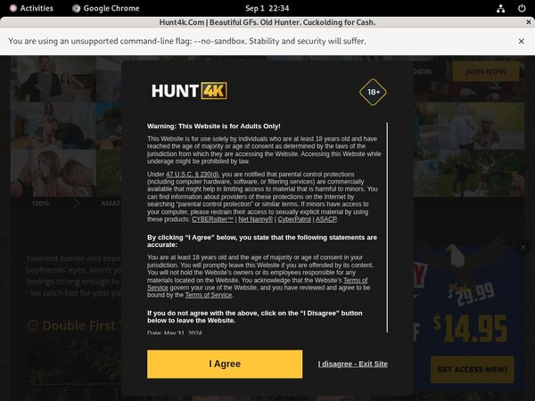Free Hunt4k Logins