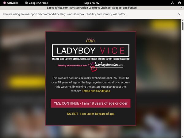 Free Ladyboy Vice Premium