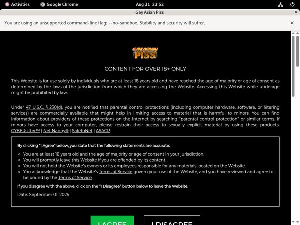 Gay Asian Piss Porn Pass