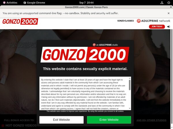 Gonzo2000 Daily Accounts
