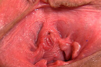 Is Gape My Pussy Real? s0