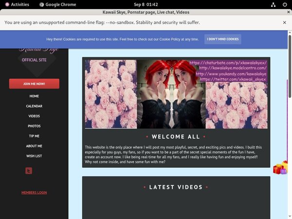 Kawaii Skye Alternate Payment