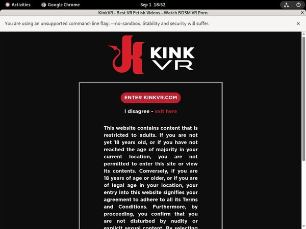 Kink VR Member Discount