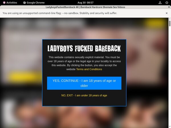 Ladyboysfuckedbareback.com Premium Accounts Free