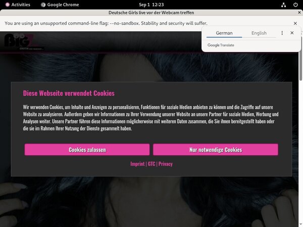 Lanagiselle.tv Passwords 2016