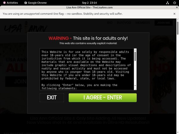 Lisa Ann Password Share