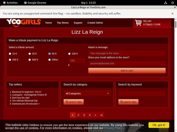 LizzLaReign Site Review