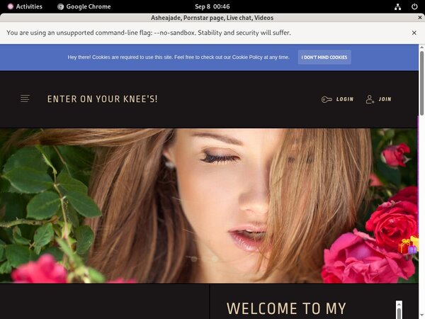 New Asheajade Passwords