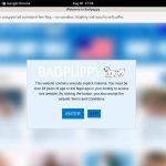 New Badpuppy.com Account