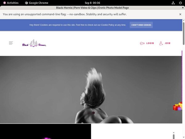 Offer Black-hornis.net