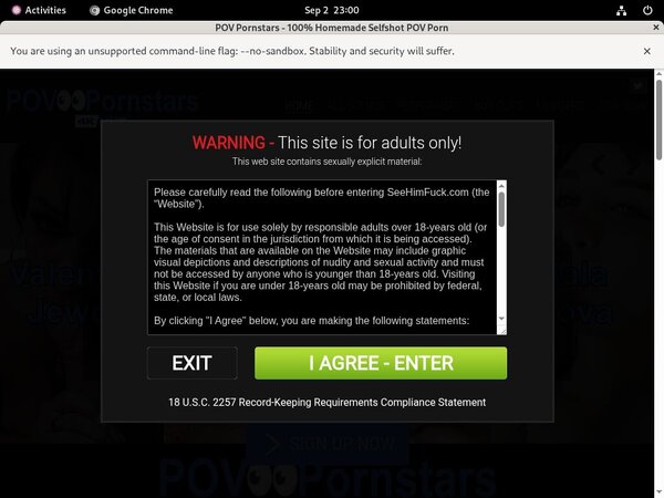 POV Pornstars Account Information