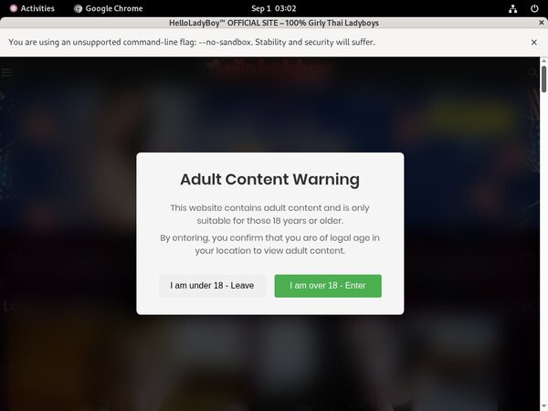 Pornhub Helloladyboy.com