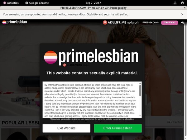 Prime Lesbians Bank Payment