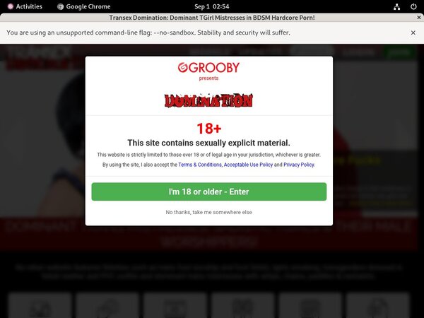 Real Transexdomination.com Accounts Real Transexdomination.com Accounts