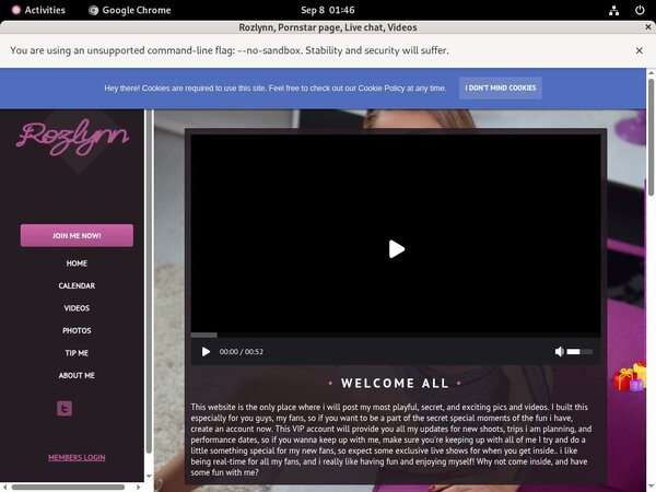 Rozlynn.modelcentro.com Passcodes