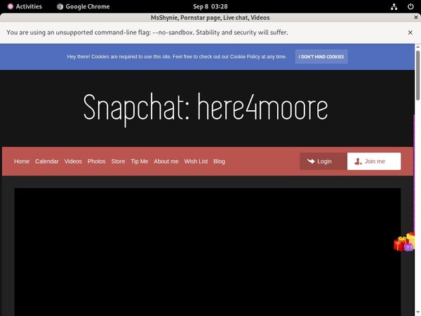 Shynie.modelcentro.com Free Code