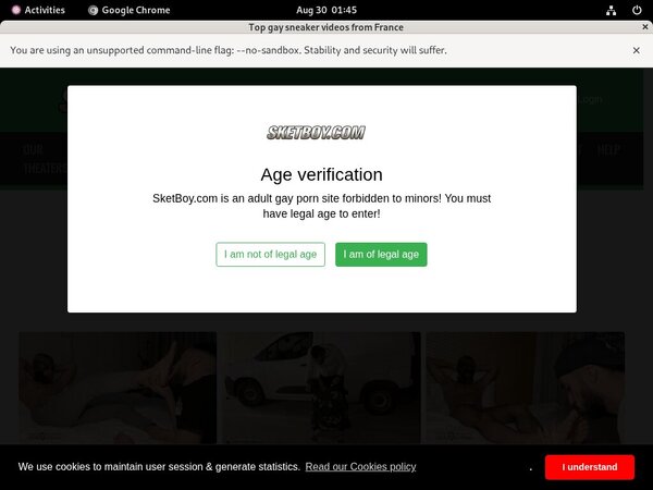 Sketboy.com Login Passwords