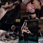 Subspace Land New Videos