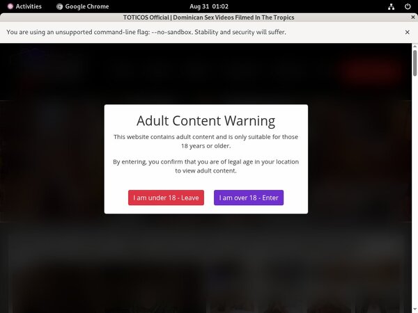 Totico's Password Username