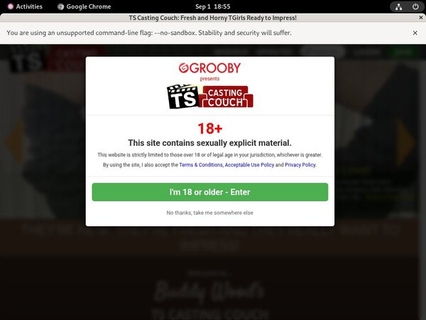 Ts-castingcouch.com Discount Members