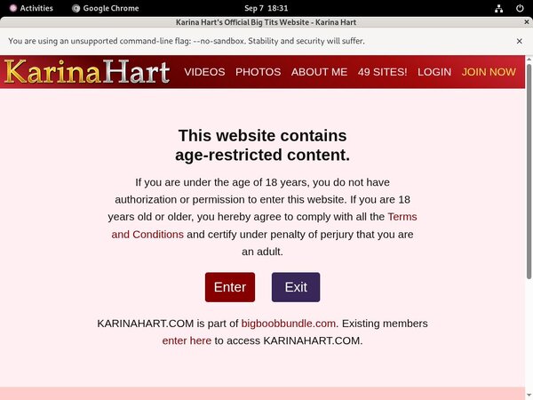 What Is Karinahart.com