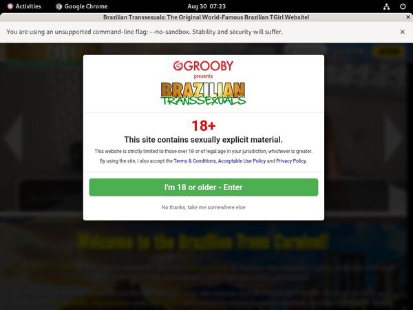 Xxx Brazilian Transsexuals