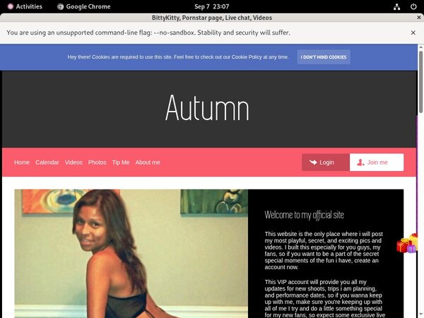 Bittykitty Logins Bittykitty Logins