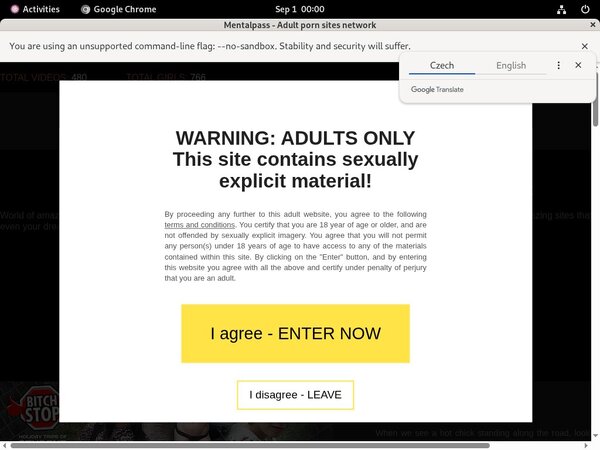 Mentalpass.com Porn Passwords Mentalpass.com Porn Passwords