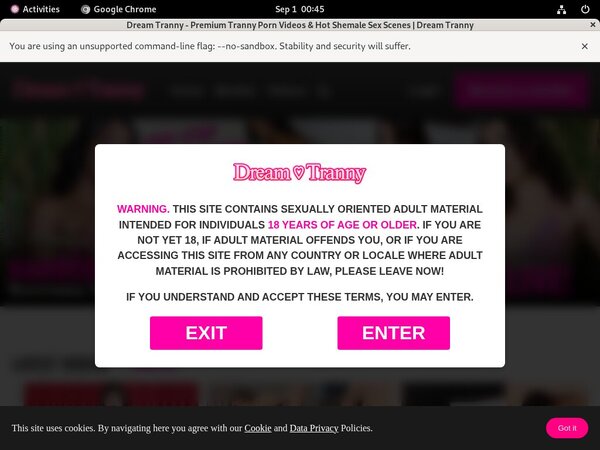 Free Dreamtranny Account Passwords