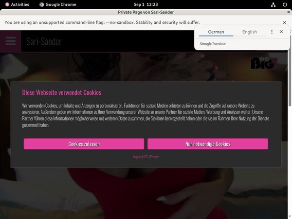 How To Get SariSander For Free How To Get SariSander For Free